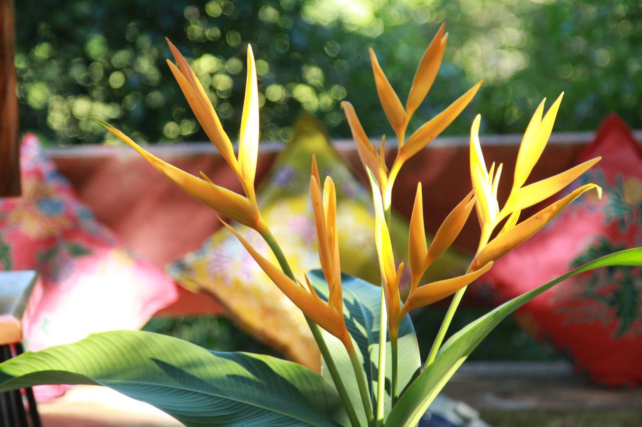 Chestnut Hill Eco Resort Had Yai Hat Yai Eksteriør billede