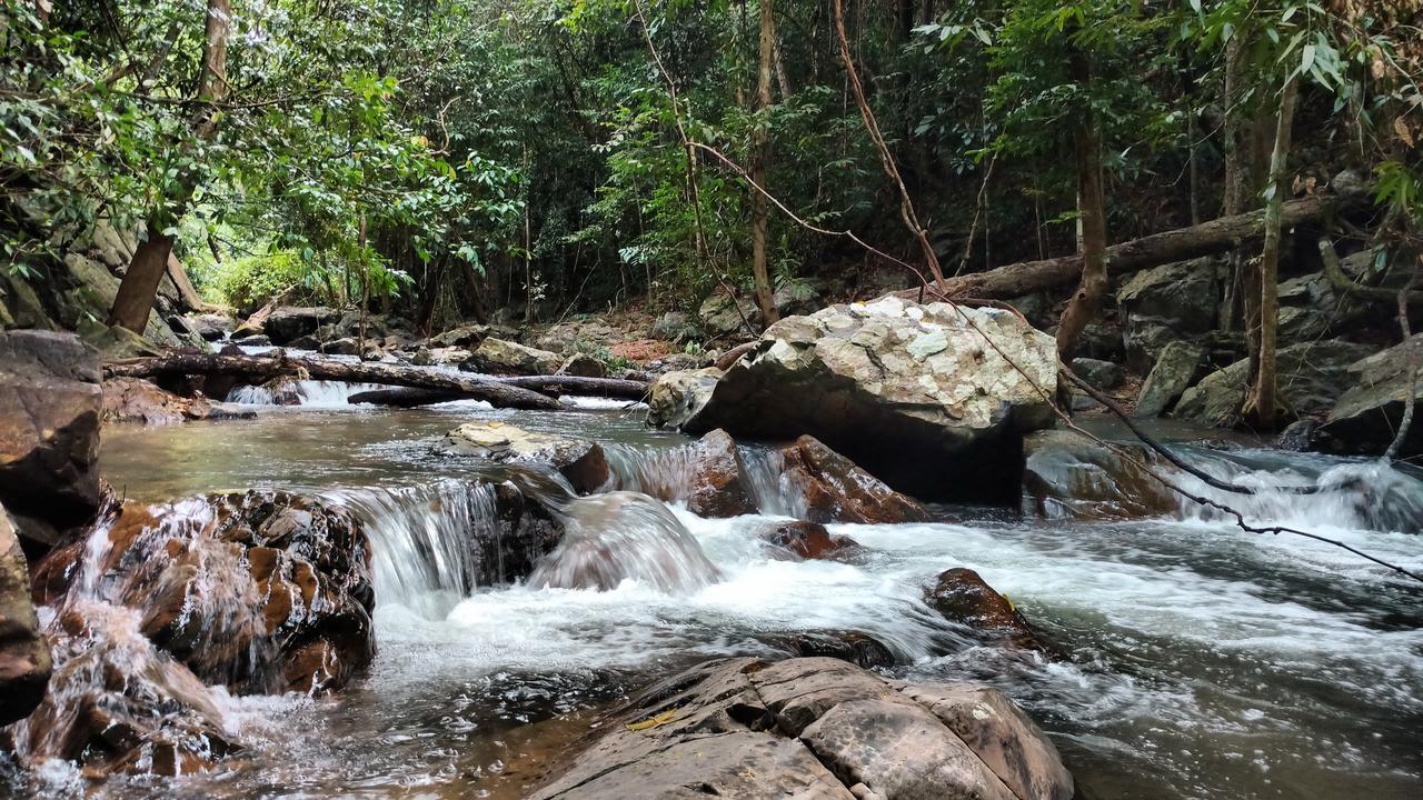 Chestnut Hill Eco Resort Had Yai Hat Yai Eksteriør billede
