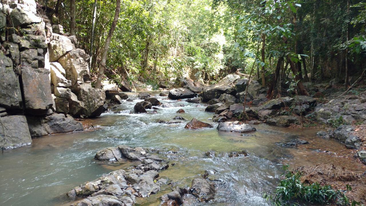 Chestnut Hill Eco Resort Had Yai Hat Yai Eksteriør billede